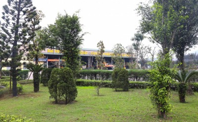 Khuôn viên cây xanh được trồng tại khu vực Phân xưởng cơ khí, Cụm cảng Làng Khánh đã tạo môi trường làm việc "sáng - xanh - sạch" (Ảnh: Huy Hoàng)