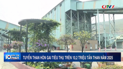 QTV1 - Công ty Tuyển than Hòn Gai - Vinacomin tiêu thụ trên 10,2 triệu tấn than năm 2025