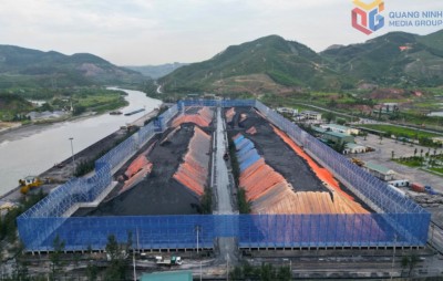 Công ty Tuyển than Hòn Gai duy trì thường xuyên công tác tưới nước, phun sương dập bụi trên các tuyến đường vận chuyển than nhằm giảm thiểu ảnh hưởng đến môi trường.